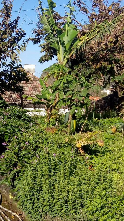 산타나 Casa Reizinho 빌라 외부 사진